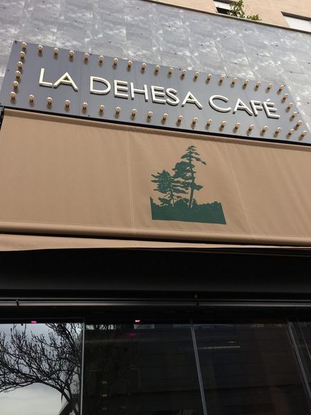 RTE LA DEHESA